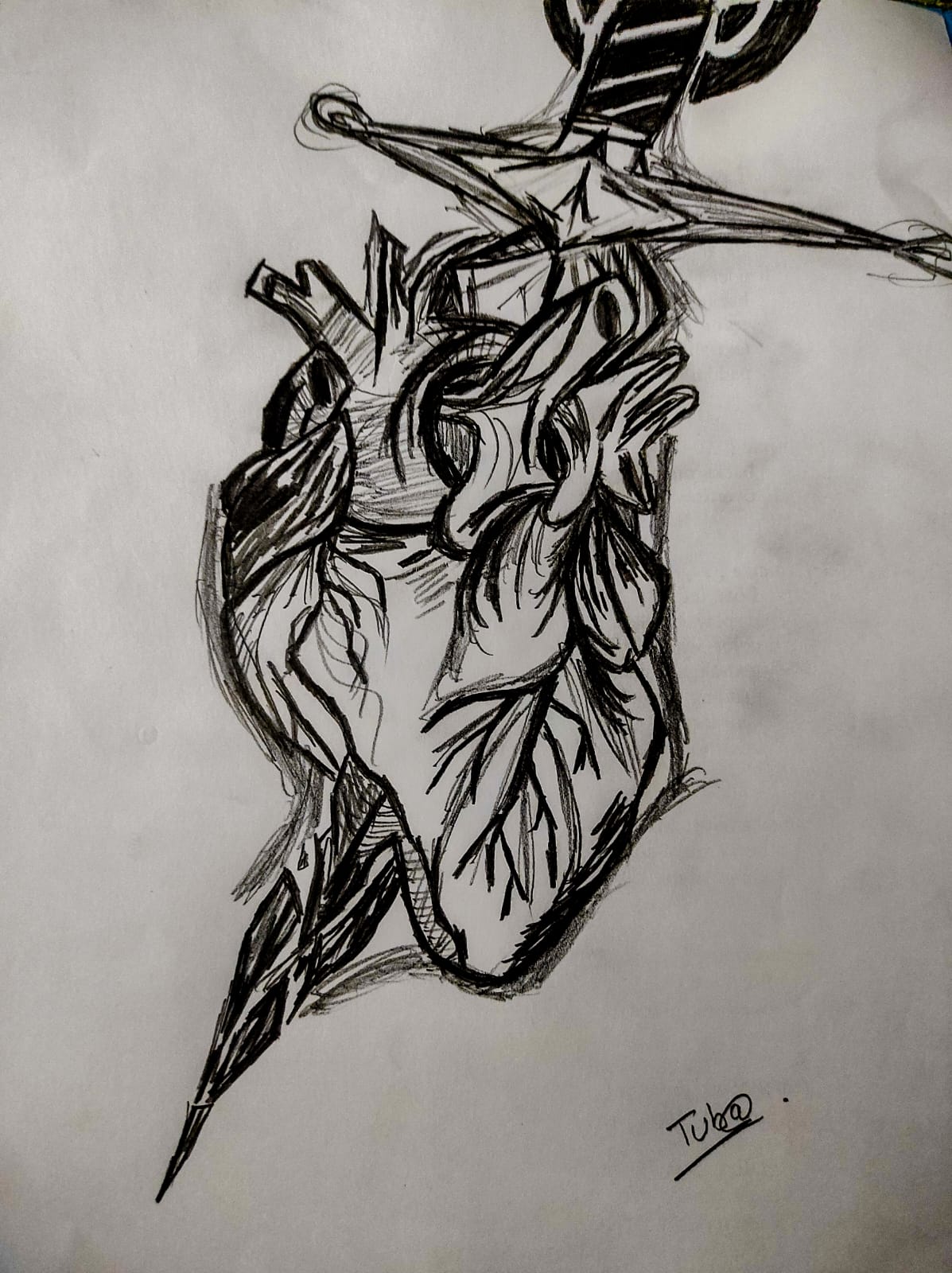 Sketch 4