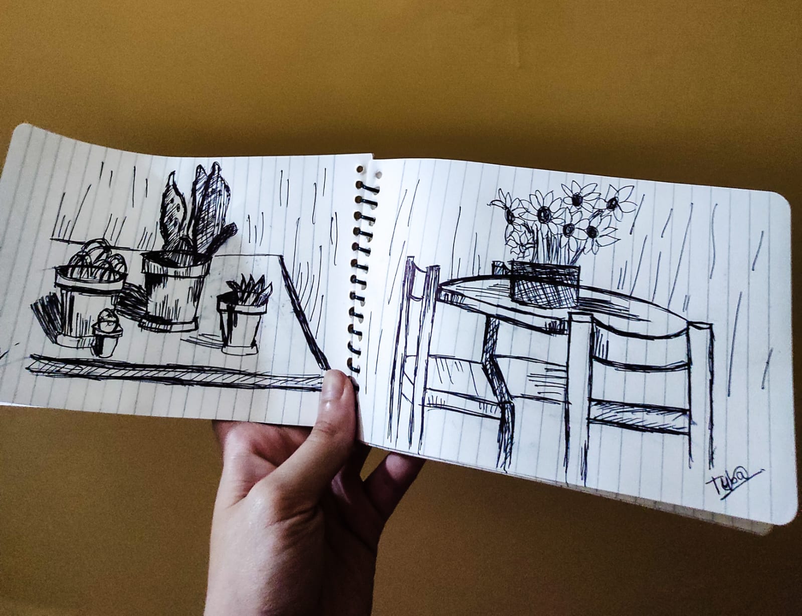 Sketch 7
